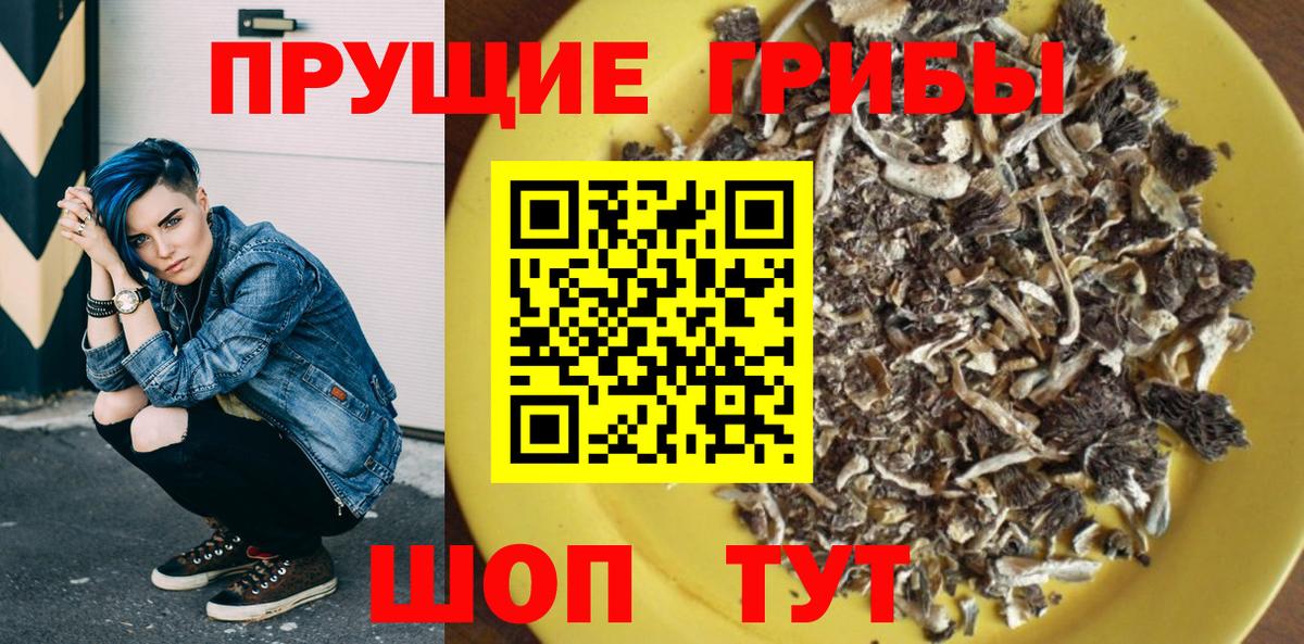 Псилоцибиновые грибы ЛСД Губаха