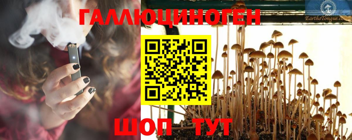 Псилоцибиновые грибы GOLDEN TEACHER  Вход с VPN  Псилоцибиновые грибы MAGIC MUSHROOMS  Губаха 